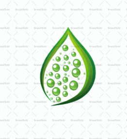 Tautropfen auf einem Blatt